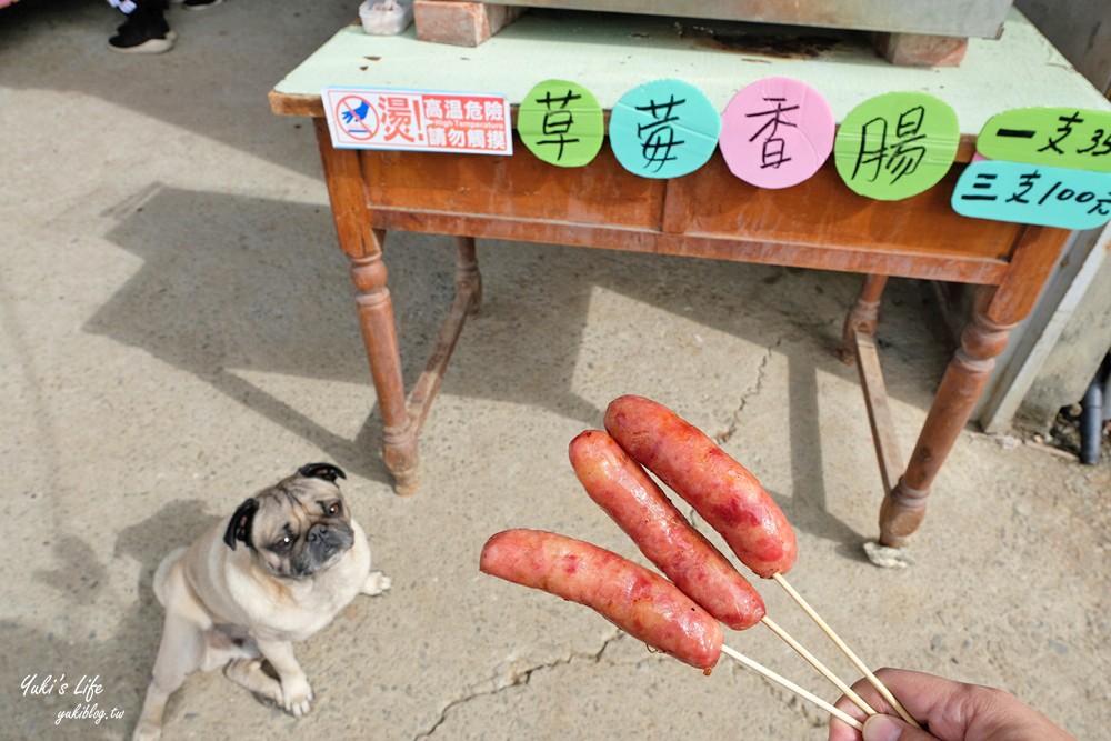 大湖草莓園推薦「莓李帽」苗栗馬拉邦山梯田式草莓園也太美！草莓餐療癒你的心 - yuki.tw