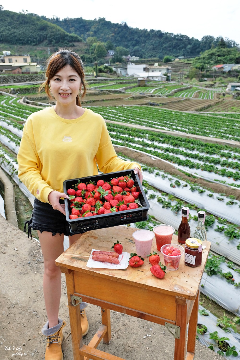 大湖草莓園推薦「莓李帽」苗栗馬拉邦山梯田式草莓園也太美！草莓餐療癒你的心 - yuki.tw