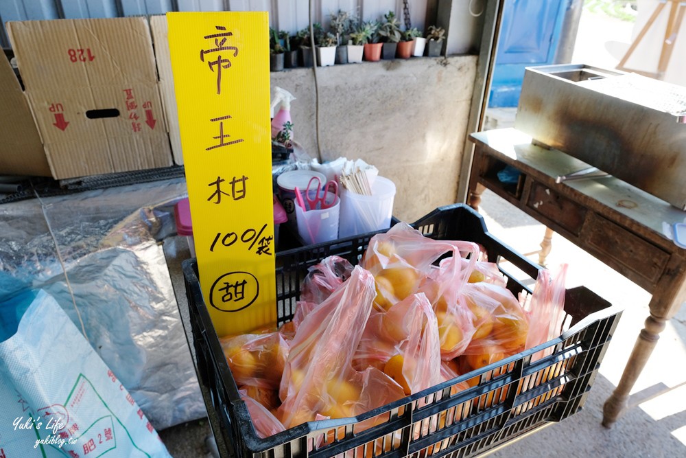 大湖草莓園推薦「莓李帽」苗栗馬拉邦山梯田式草莓園也太美！草莓餐療癒你的心 - yuki.tw