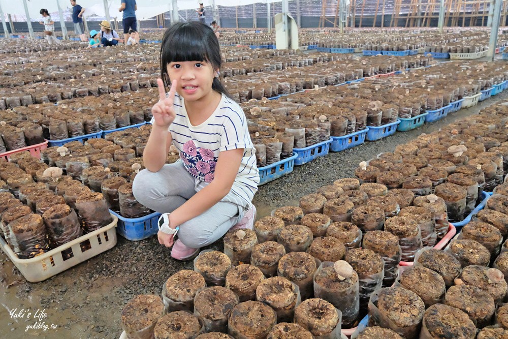 台中新社美食【百菇莊】菇菇大餐這裡吃~採菇吃菇全家好去處 - yuki.tw