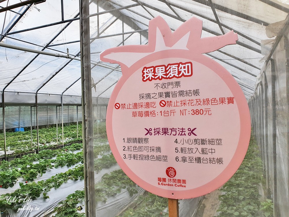 內湖莓圃休閒農園，紫色吊橋踏青舒壓~超美小花園愜意吃草莓pizza - yuki.tw