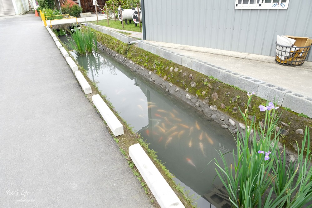 宜蘭親子景點【張美阿嬤農場】水豚君互動新登場!餵梅花鹿.三星蔥油餅宜蘭小吃都在這兒 - yuki.tw