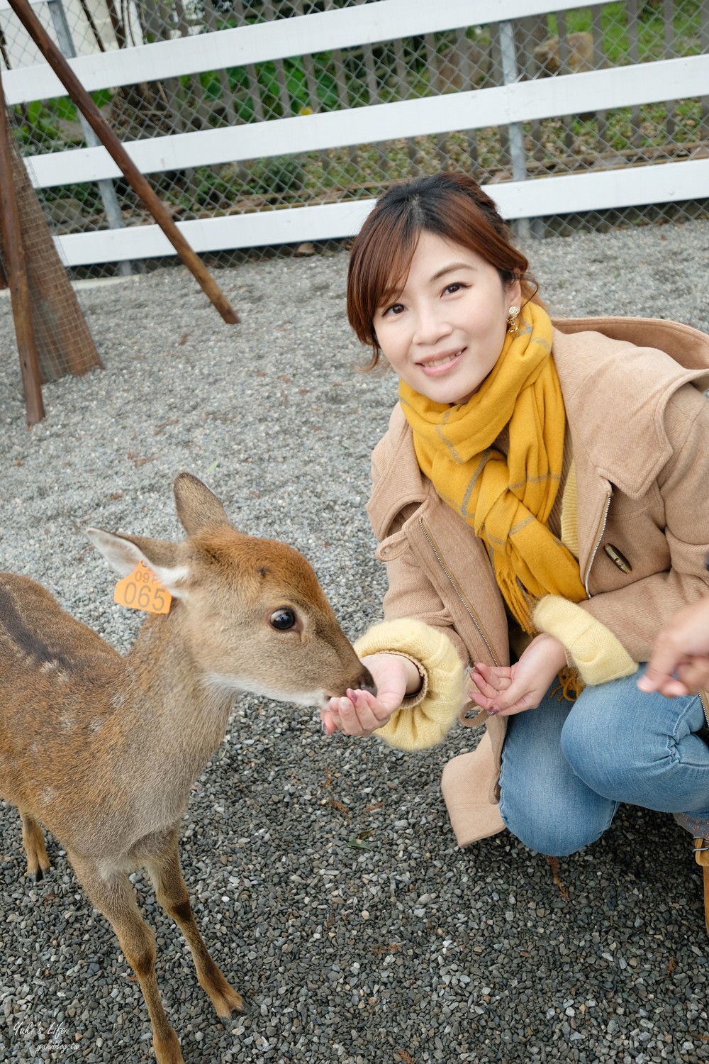 宜蘭親子景點【張美阿嬤農場】水豚君互動新登場!餵梅花鹿.三星蔥油餅宜蘭小吃都在這兒 - yuki.tw