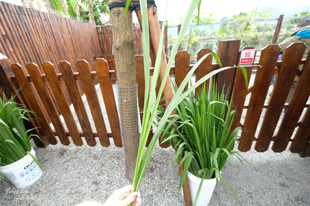 宜蘭親子景點【張美阿嬤農場】水豚君互動新登場!餵梅花鹿.三星蔥油餅宜蘭小吃都在這兒 - yuki.tw