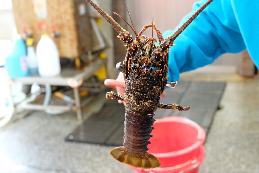 新北萬里美食》望海亭海鮮餐廳~野柳吃海鮮聚餐~有免費停車場很大心 - yuki.tw