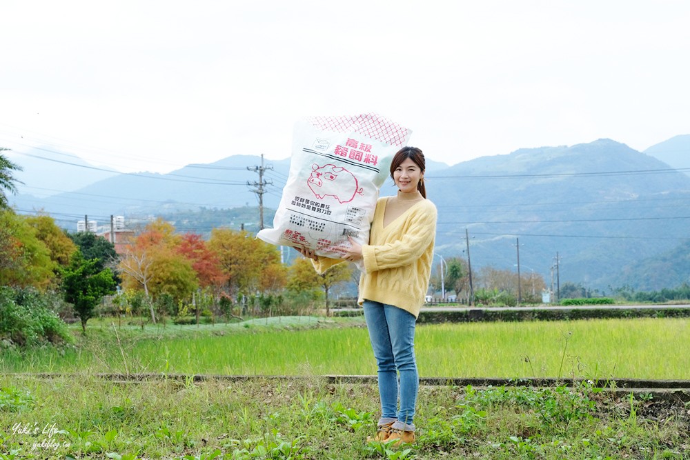 台南伴手禮推薦》高級豬飼料整袋抱著吃!新玉香60年老店古早味零食好新潮,過年必買! - yuki.tw