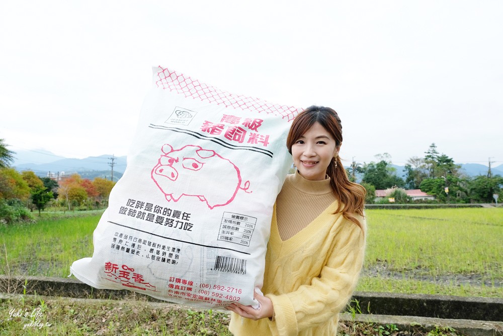 台南伴手禮推薦》高級豬飼料整袋抱著吃!新玉香60年老店古早味零食好新潮,過年必買! - yuki.tw