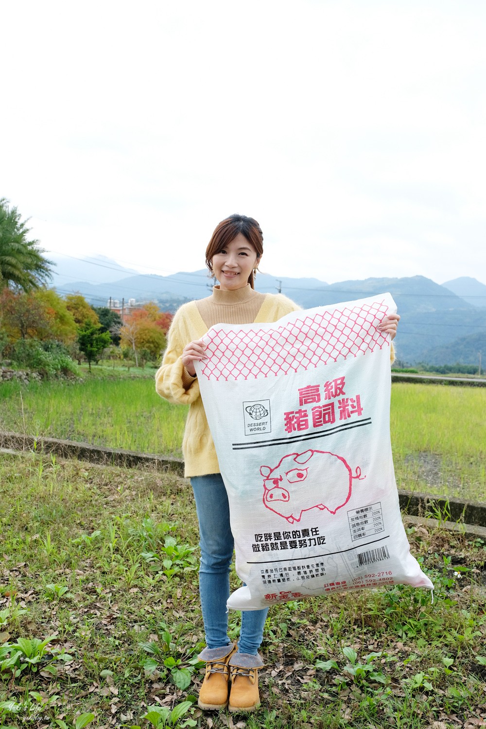 台南伴手禮推薦》高級豬飼料整袋抱著吃!新玉香60年老店古早味零食好新潮,過年必買! - yuki.tw