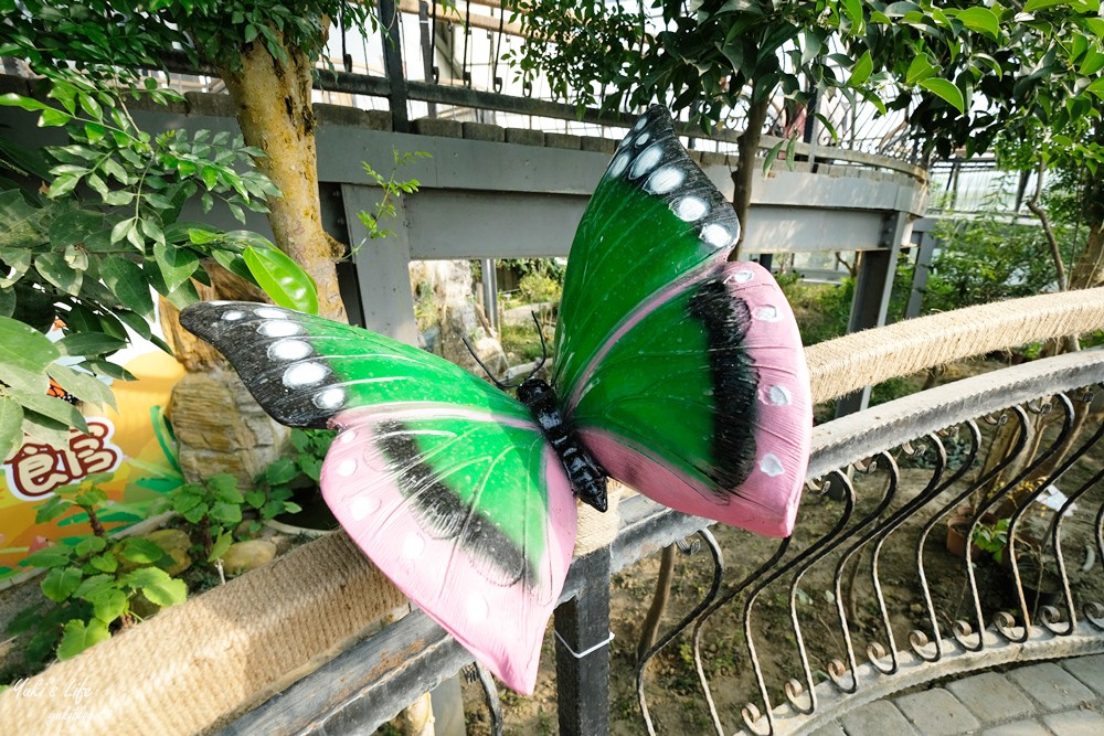 嘉義親子景點》新嘉大昆蟲館~蝴蝶溫室花園美拍趣！旋轉彩蝶柱.嘉大咖啡館 - yuki.tw