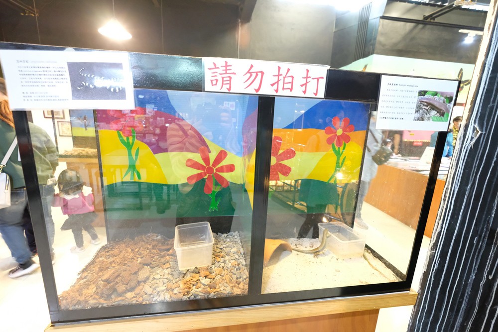 嘉義親子景點》新嘉大昆蟲館~蝴蝶溫室花園美拍趣！旋轉彩蝶柱.嘉大咖啡館 - yuki.tw