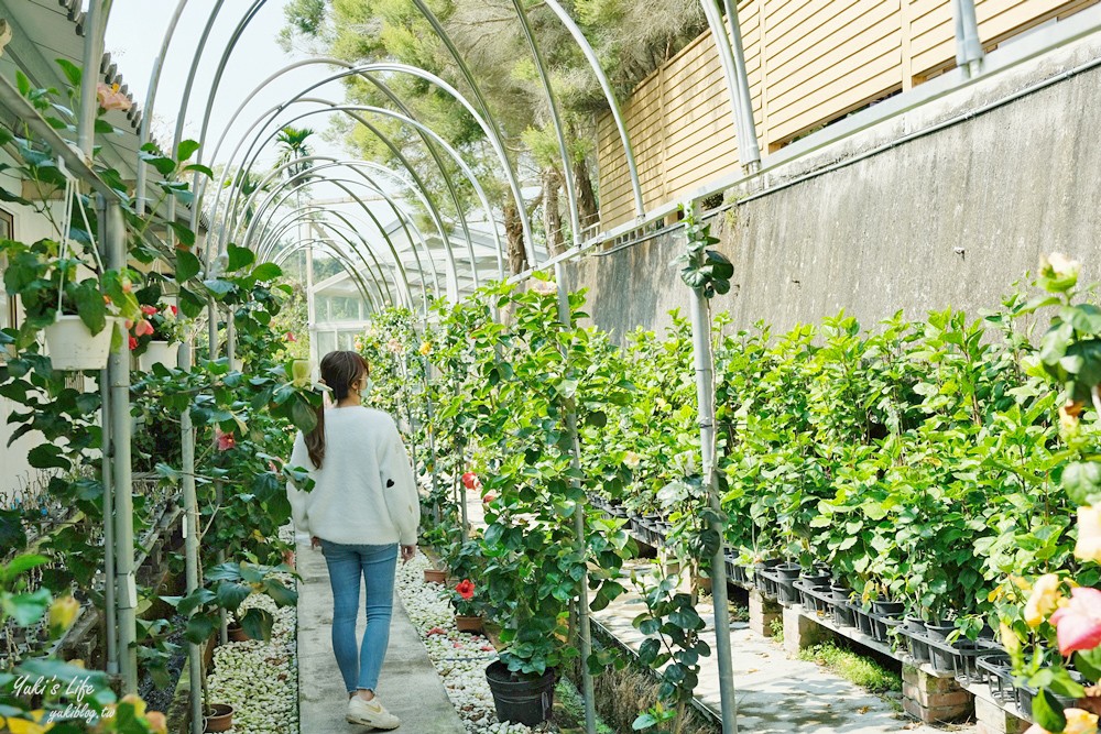 南投親子景點》雲窩朱槿花~超美花園夢幻美拍下午茶 - yuki.tw