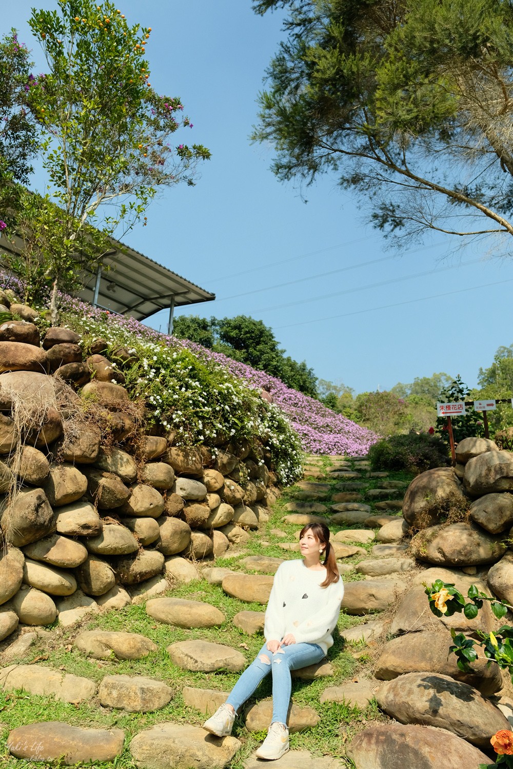 南投親子景點》雲窩朱槿花~超美花園夢幻美拍下午茶 - yuki.tw