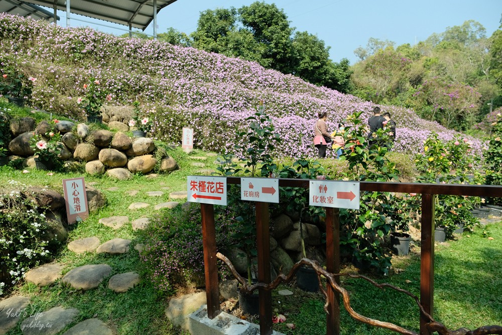 南投親子景點》雲窩朱槿花~超美花園夢幻美拍下午茶 - yuki.tw