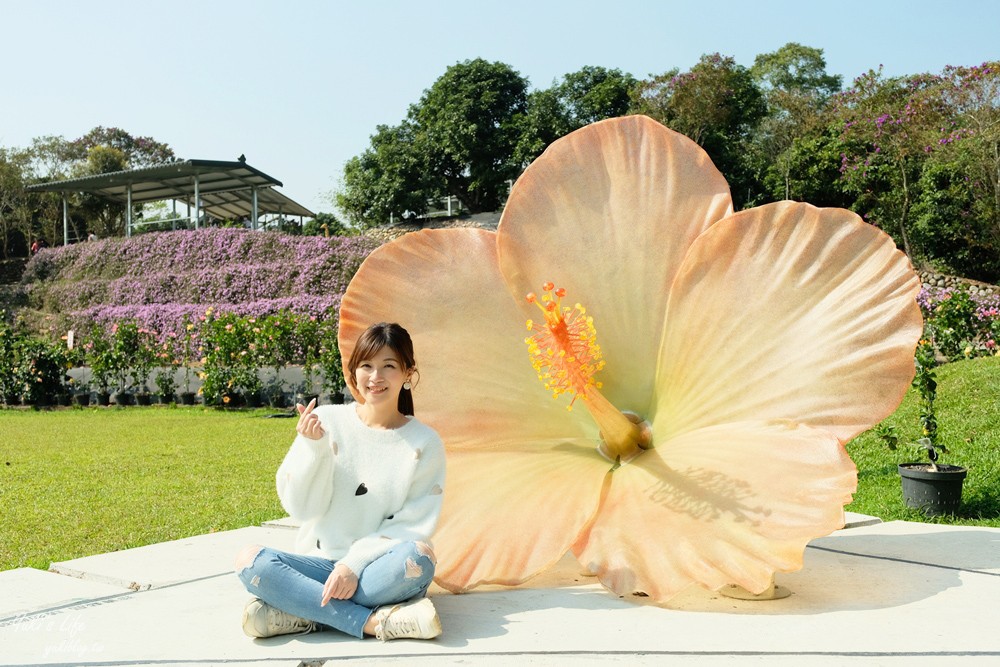 南投親子景點》雲窩朱槿花~超美花園夢幻美拍下午茶 - yuki.tw