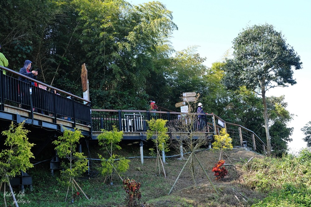 嘉義梅山景點》太平雲梯，嘉南平原美景全都收！挑戰全台最長景觀吊橋 - yuki.tw