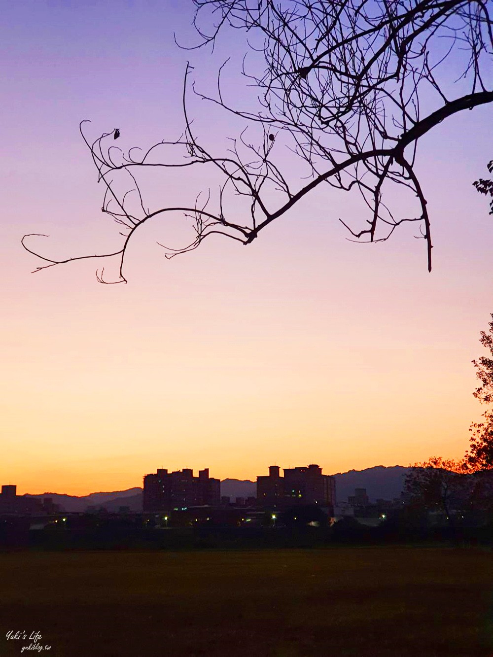 免費親子景點》浮洲藝術河濱公園vs羊咩咩的家～野餐大草皮，停車方便，騎腳踏車一日遊 - yuki.tw