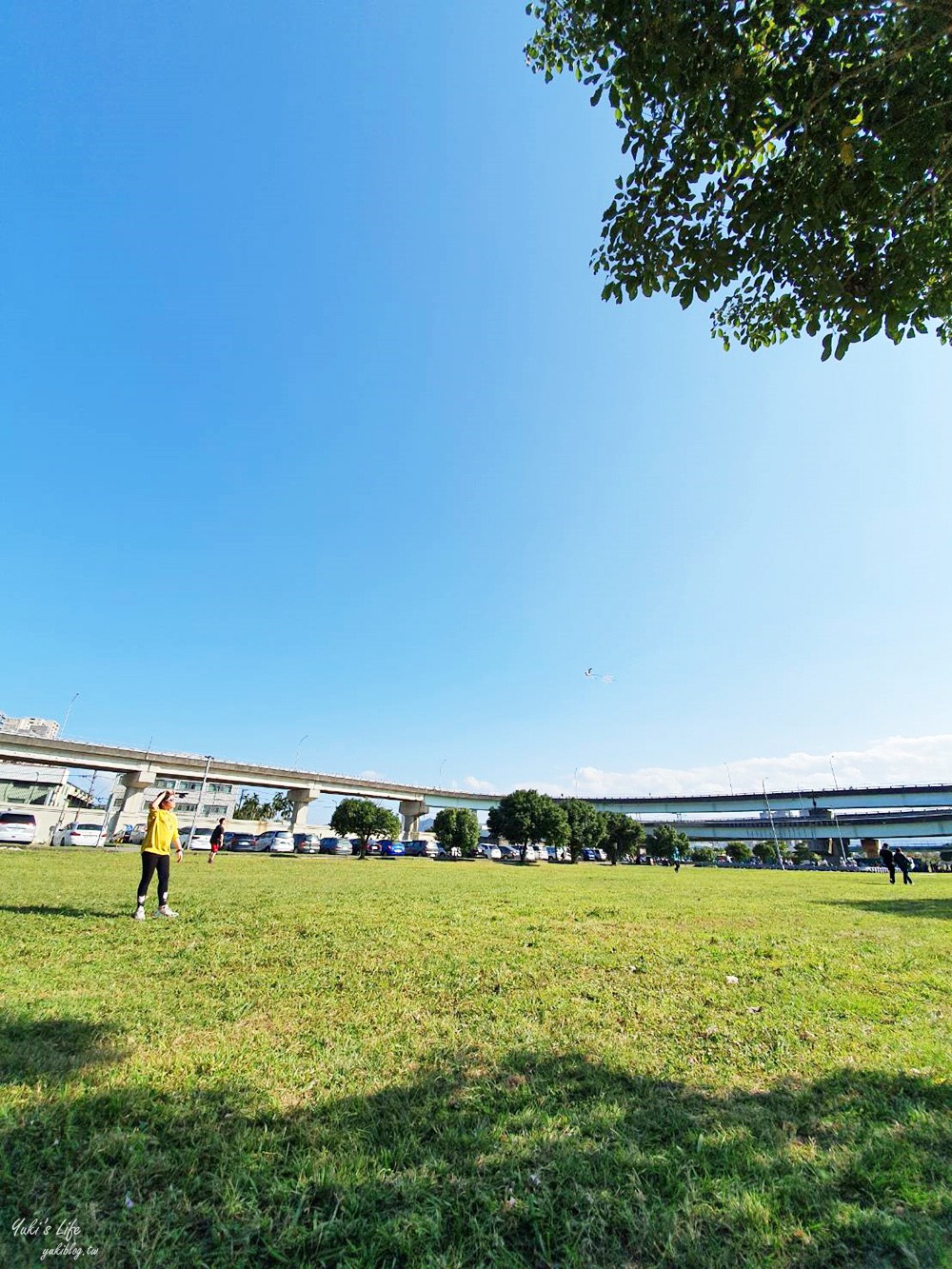 免費親子景點》浮洲藝術河濱公園vs羊咩咩的家～野餐大草皮，停車方便，騎腳踏車一日遊 - yuki.tw