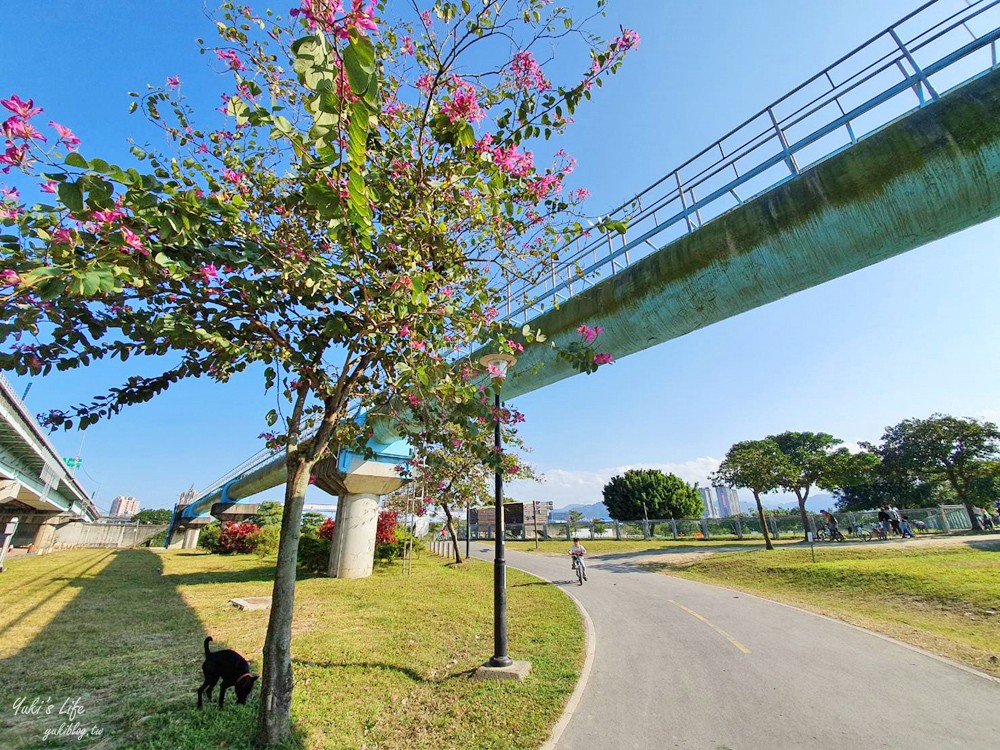 免費親子景點》浮洲藝術河濱公園vs羊咩咩的家～野餐大草皮，停車方便，騎腳踏車一日遊 - yuki.tw