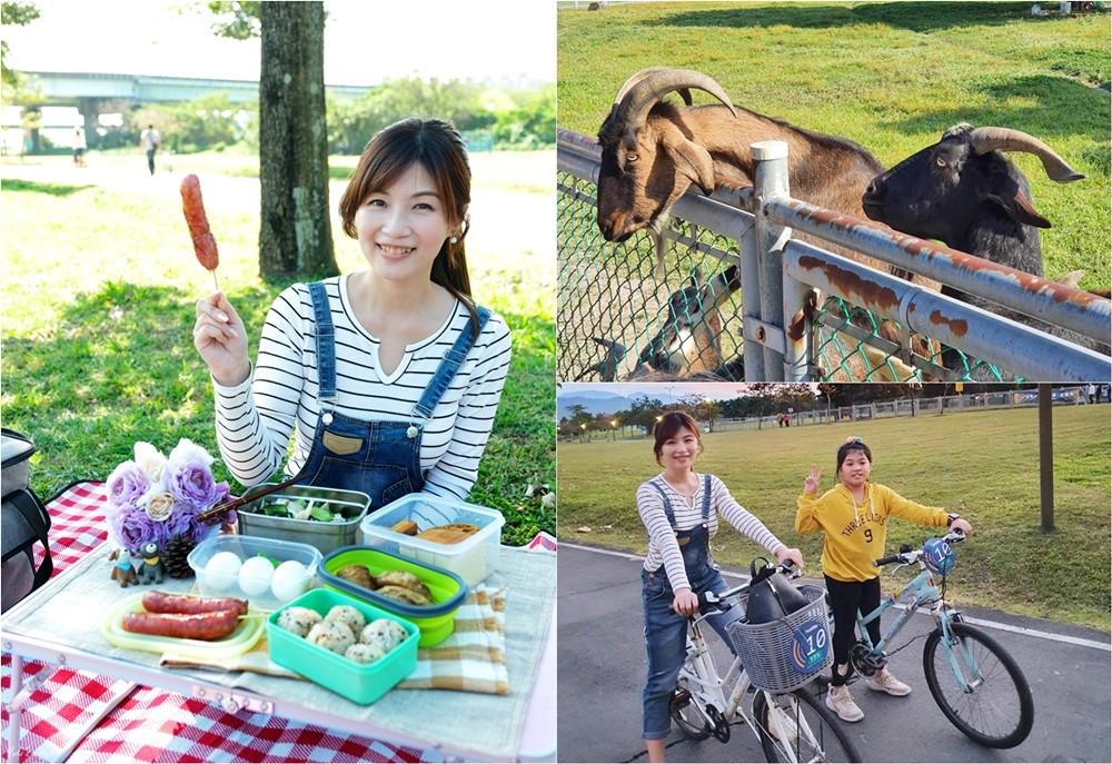 免費親子景點》浮洲藝術河濱公園vs羊咩咩的家～野餐大草皮，停車方便，騎腳踏車一日遊 - yuki.tw