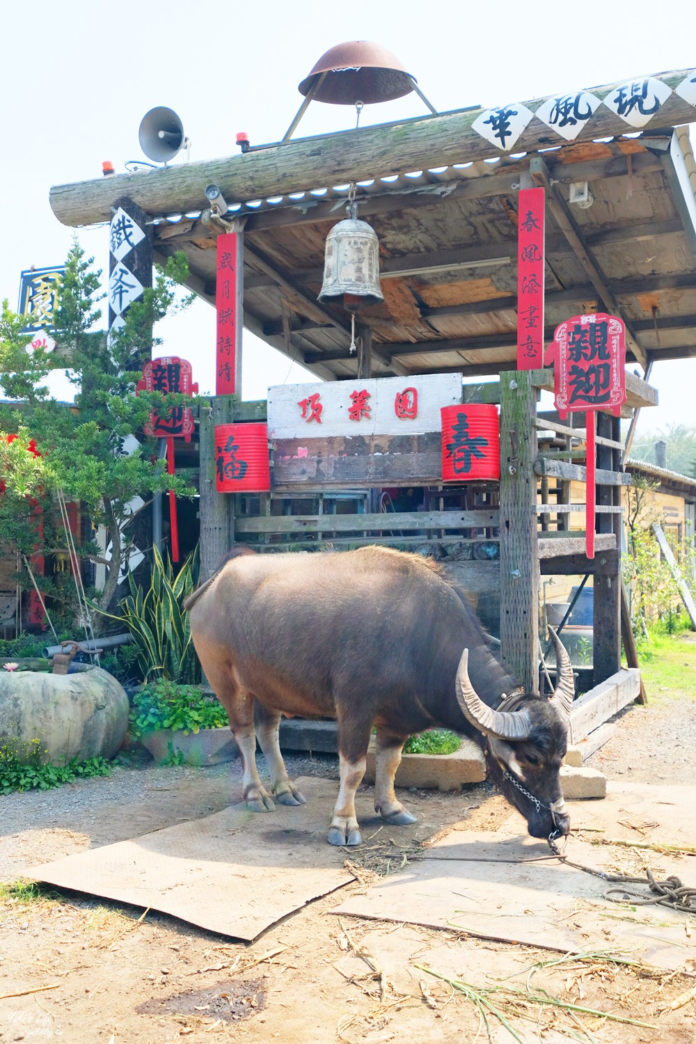 嘉義親子景點》頂菜園農村博物館~50年代超懷舊鄉土館~假日好去處！ - yuki.tw