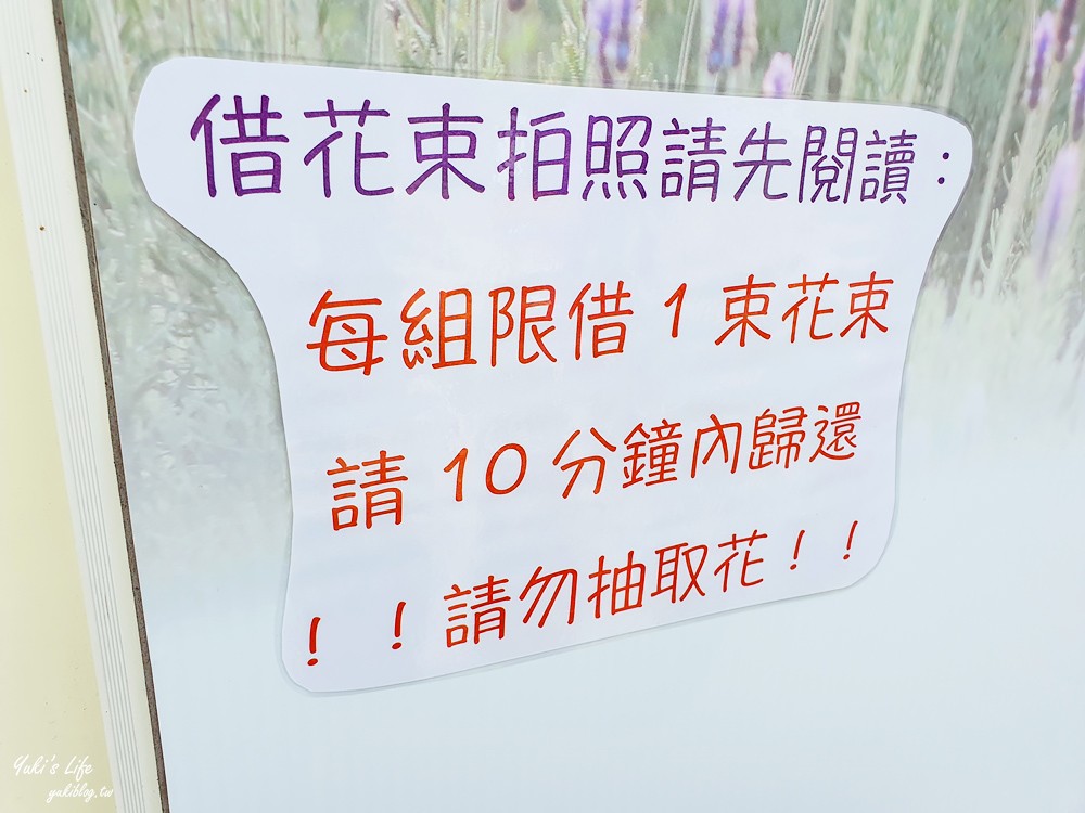 苗栗景點》葛瑞絲香草田～免門票薰衣草花海，一年就等這一季浪漫約會景點 - yuki.tw