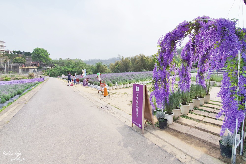 苗栗景點》葛瑞絲香草田～免門票薰衣草花海，一年就等這一季浪漫約會景點 - yuki.tw