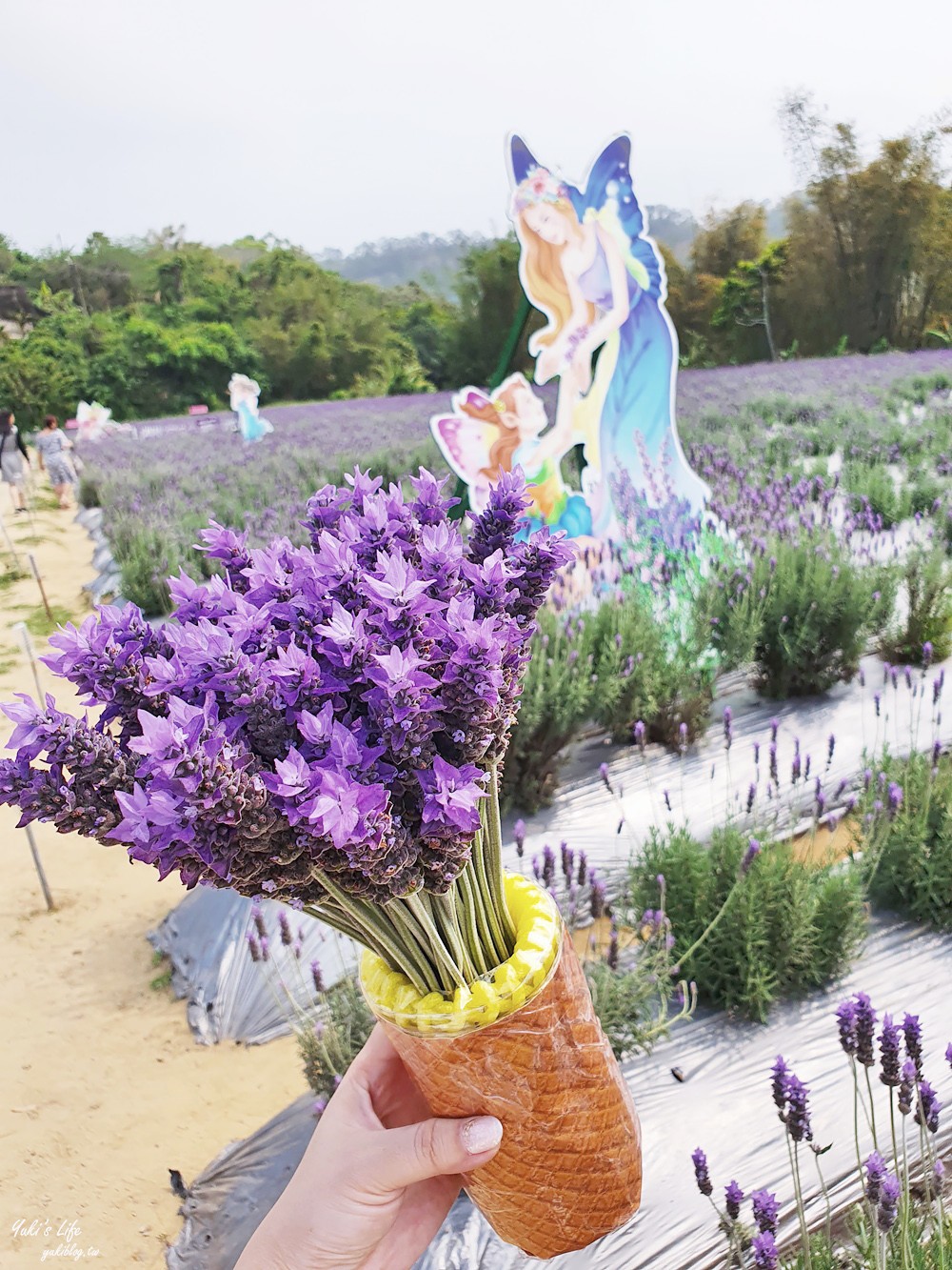 苗栗景點》葛瑞絲香草田～免門票薰衣草花海，一年就等這一季浪漫約會景點 - yuki.tw