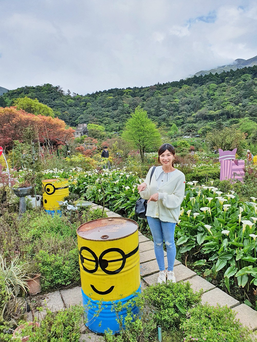 陽明山竹子湖海芋季|苗榜海芋園|賞海芋吃土雞，推薦來這家 - yuki.tw