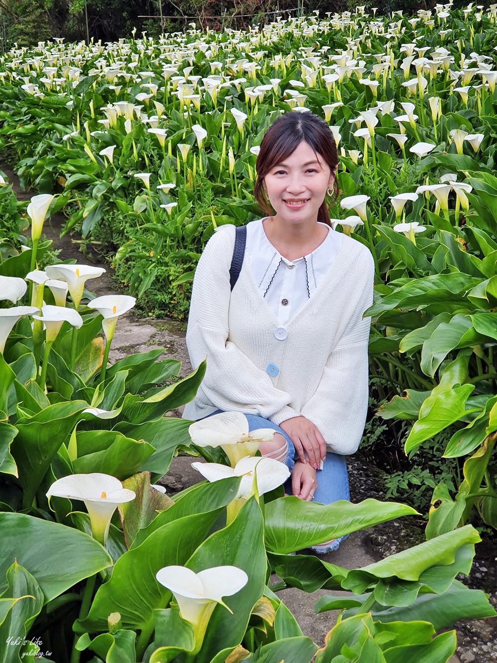 陽明山竹子湖海芋季|苗榜海芋園|賞海芋吃土雞，推薦來這家 - yuki.tw