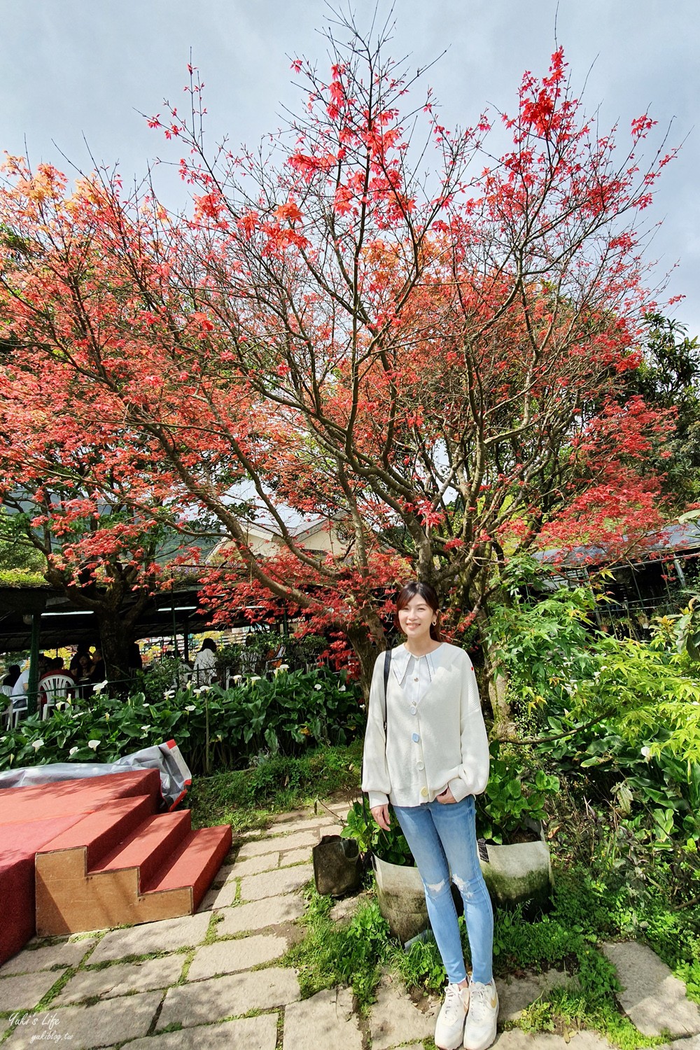 陽明山竹子湖海芋季|苗榜海芋園|賞海芋吃土雞，推薦來這家 - yuki.tw