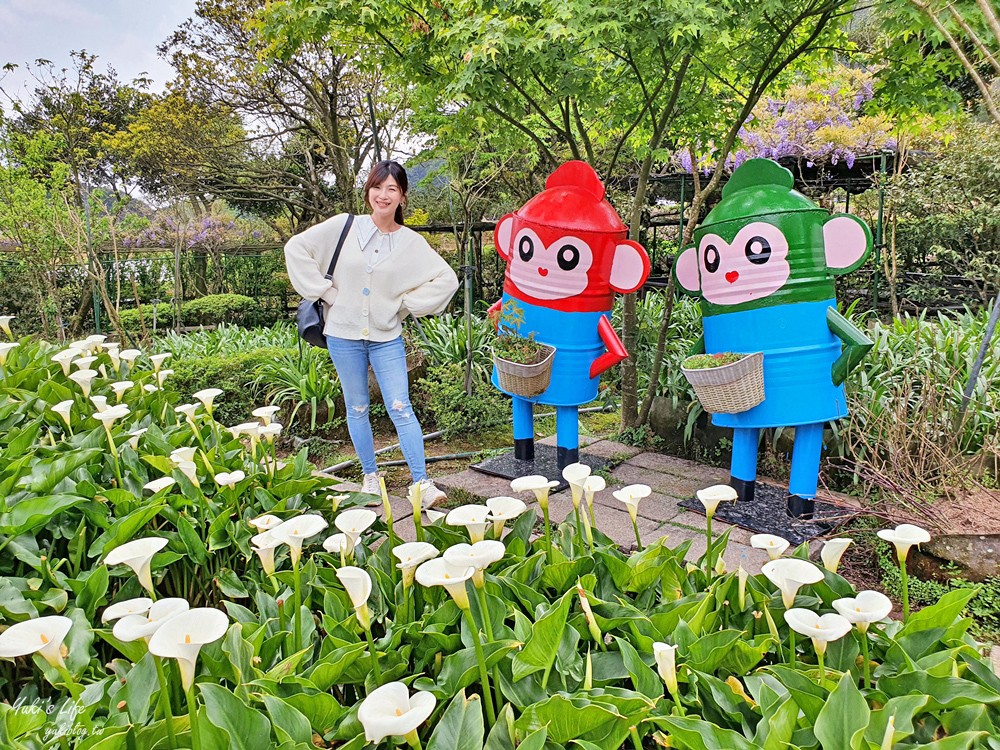 陽明山竹子湖海芋季|苗榜海芋園|賞海芋吃土雞，推薦來這家 - yuki.tw