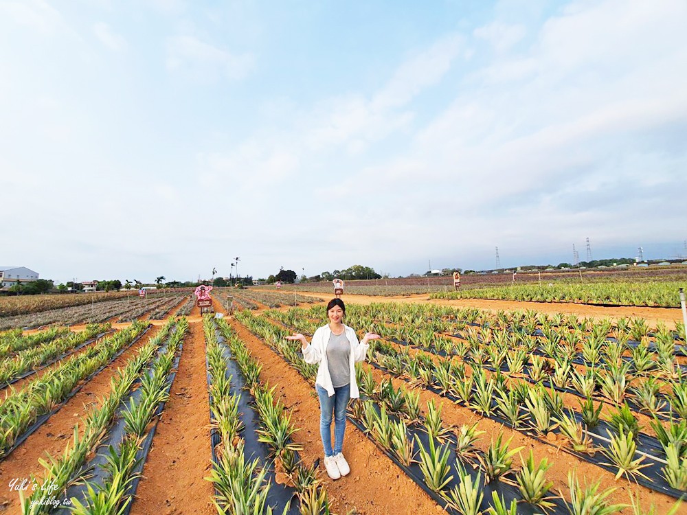 嘉義景點》旺萊山鳳梨文化園區，鳳梨酥免費請你吃！免門票觀光工廠 - yuki.tw