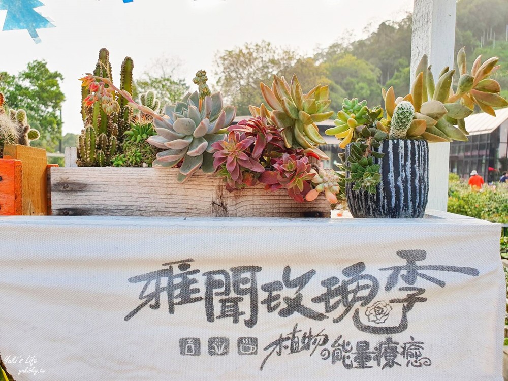 苗栗景點》雅聞七里香玫瑰森林，全台最大免門票歐風玫瑰花森林～異國風情超好逛好買又好拍！ - yuki.tw