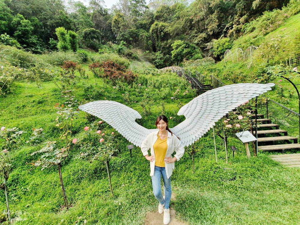 苗栗景點》雅聞七里香玫瑰森林，全台最大免門票歐風玫瑰花森林～異國風情超好逛好買又好拍！ - yuki.tw