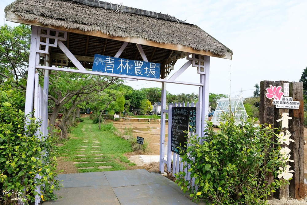 桃園景點》青林農場~超人氣親子好去處！麥桿菊花海太浪漫,草泥馬,烤肉~桃園好玩景點！ - yuki.tw