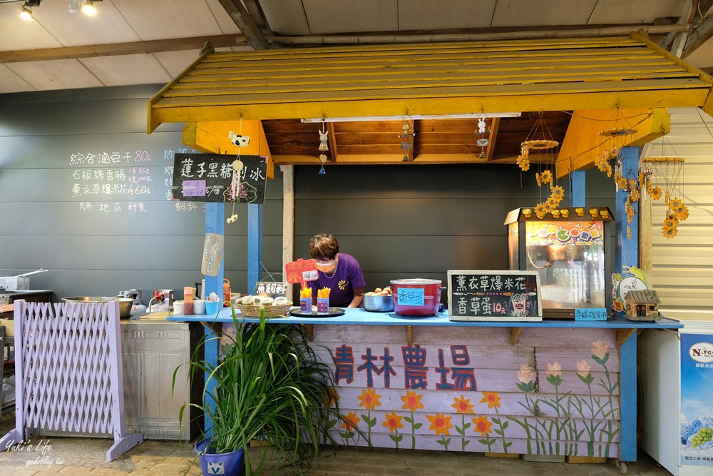 桃園景點》青林農場~超人氣親子好去處！麥桿菊花海太浪漫,草泥馬,烤肉~桃園好玩景點！ - yuki.tw