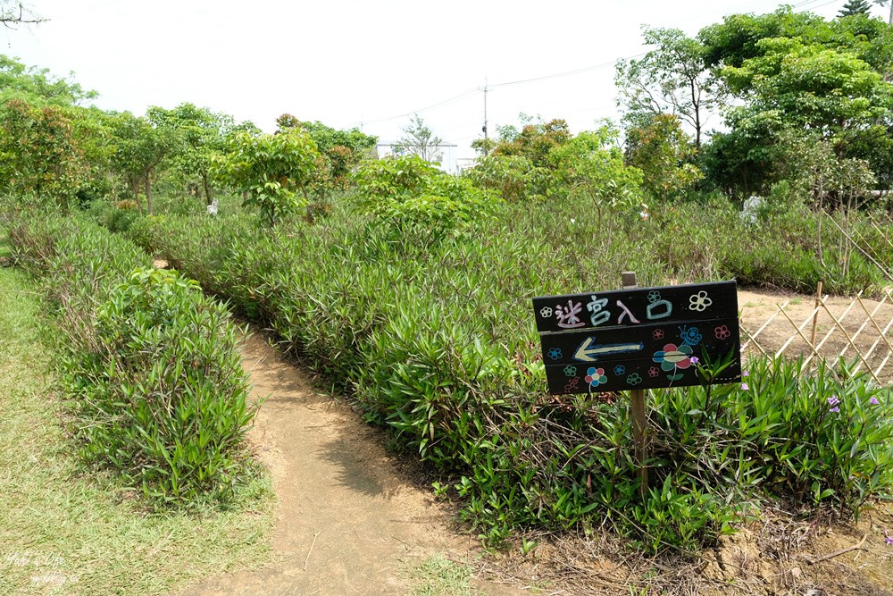 桃園景點》青林農場~超人氣親子好去處！麥桿菊花海太浪漫,草泥馬,烤肉~桃園好玩景點！ - yuki.tw