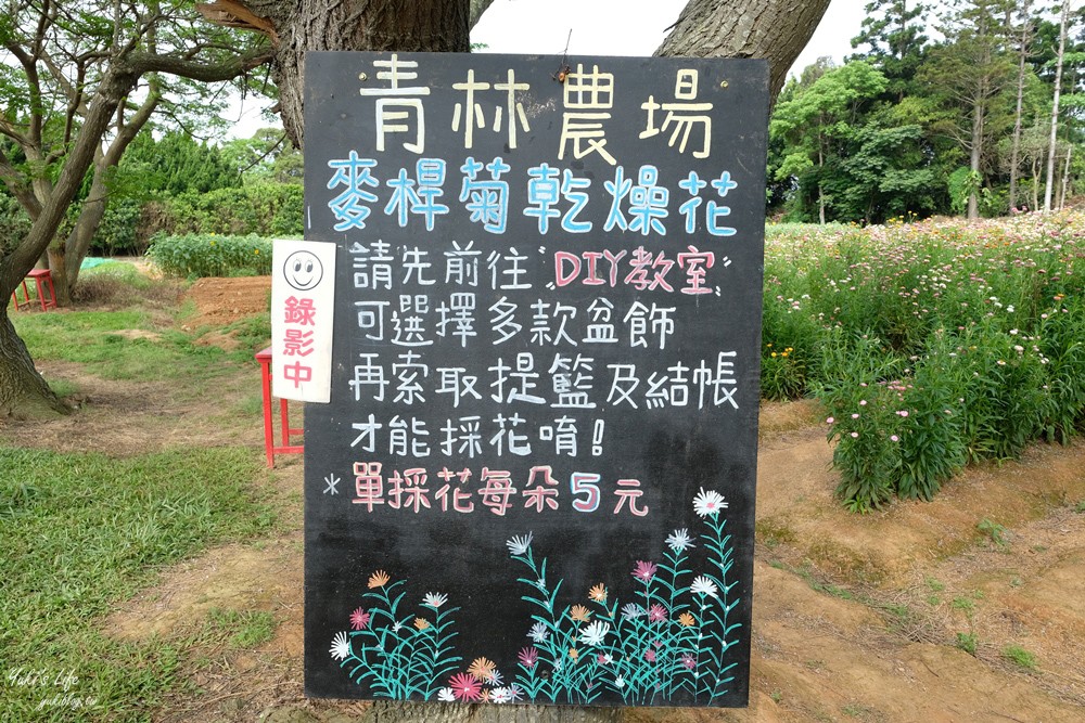 桃園景點》青林農場~超人氣親子好去處！麥桿菊花海太浪漫,草泥馬,烤肉~桃園好玩景點！ - yuki.tw