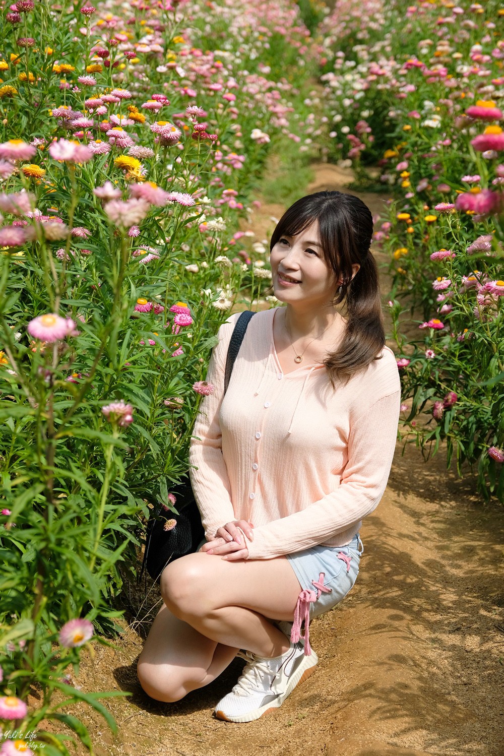 桃園景點》青林農場~超人氣親子好去處！麥桿菊花海太浪漫,草泥馬,烤肉~桃園好玩景點！ - yuki.tw