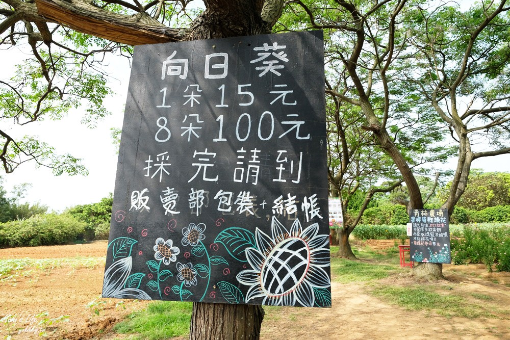 桃園景點》青林農場~超人氣親子好去處！麥桿菊花海太浪漫,草泥馬,烤肉~桃園好玩景點！ - yuki.tw