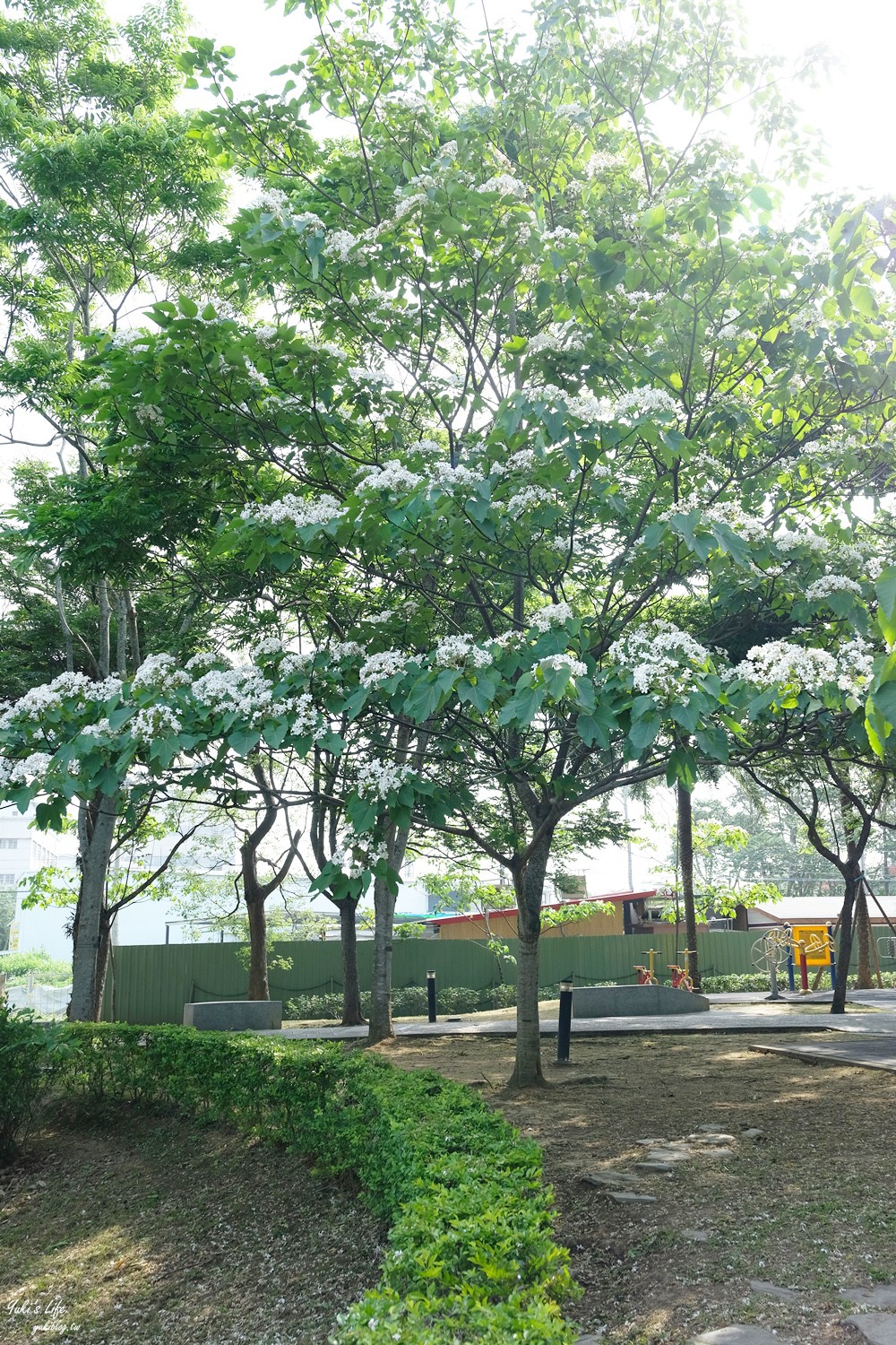 桃園龍潭親子景點【桃園市客家文化館】免門票還有沙坑溜滑梯！好停車,桃園油桐花景點！ - yuki.tw