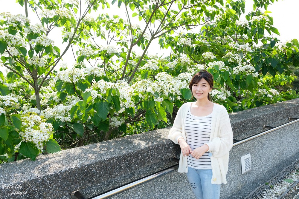 桃園龍潭親子景點【桃園市客家文化館】免門票還有沙坑溜滑梯！好停車,桃園油桐花景點！ - yuki.tw