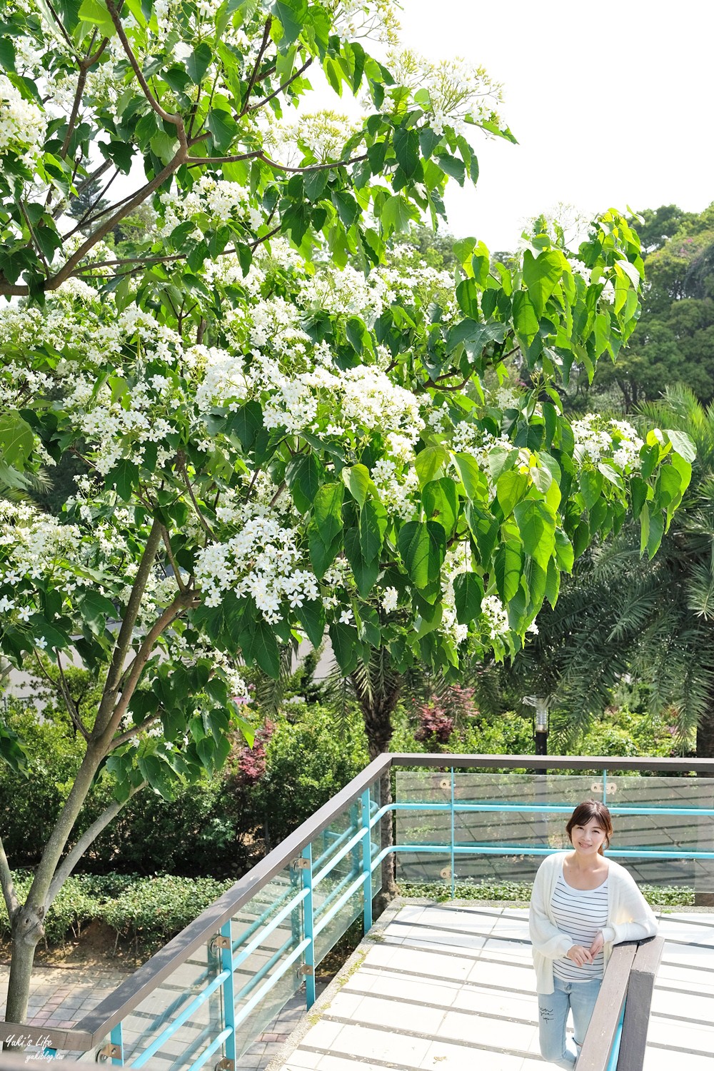 桃園龍潭親子景點【桃園市客家文化館】免門票還有沙坑溜滑梯！好停車,桃園油桐花景點！ - yuki.tw