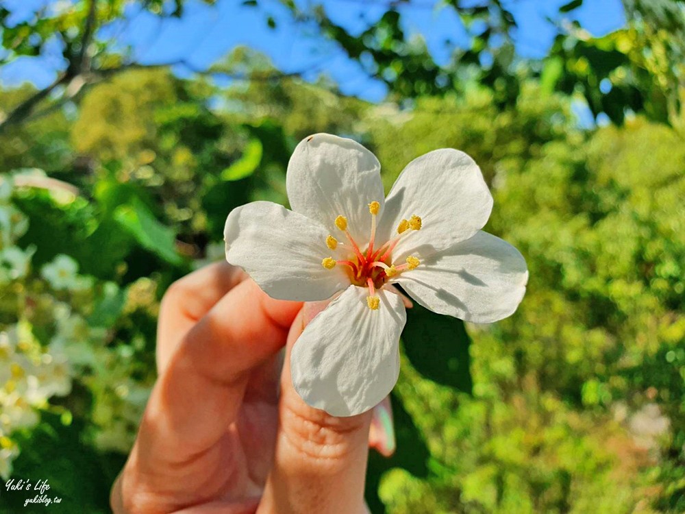 苗栗親子景點》西湖渡假村～安徒生童話世界好逛又好拍！苗栗一日遊必玩景點就來這兒～ - yuki.tw