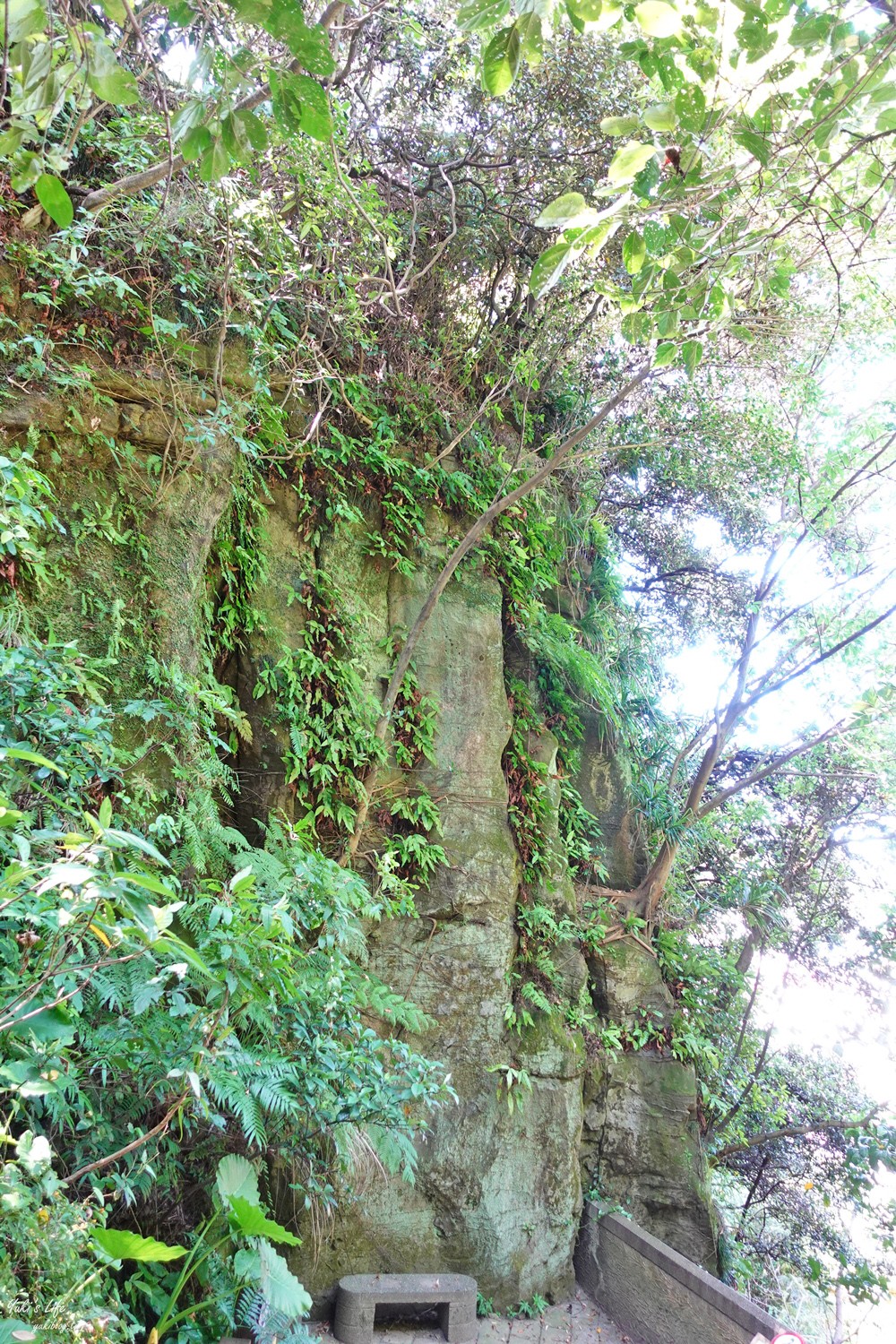 大家都問這是哪？基隆隱藏版景點「佛手洞」～天然冷氣，不用爬山輕鬆抵達 - yuki.tw