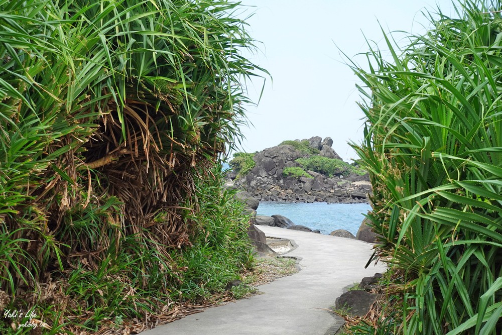 三芝看海景點「麟山鼻步道」適合全家人輕鬆走的海景步道、生態豐富、風稜石獨特景觀 - yuki.tw