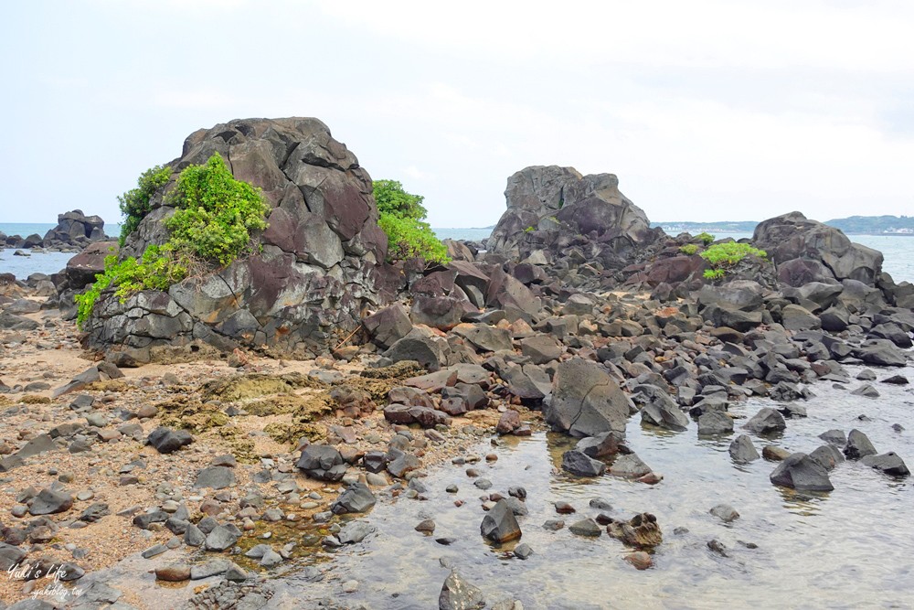 三芝看海景點「麟山鼻步道」適合全家人輕鬆走的海景步道、生態豐富、風稜石獨特景觀 - yuki.tw