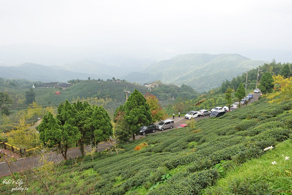 大崙山銀杏森林》入秋限定～黃色耀眼森林景色！品嚐特別的銀杏火鍋！ - yuki.tw