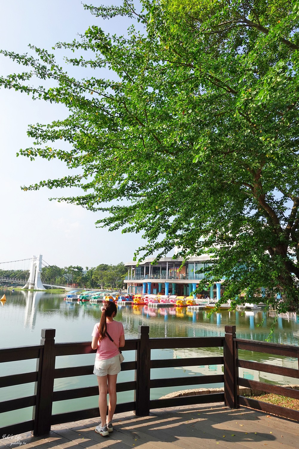 桃園免門票景點推薦》龍潭大池親子好去處！餵魚、踩天鵝船、景觀下午茶、親子遊戲場、九曲橋、吊橋、湖中南天宮 - yuki.tw