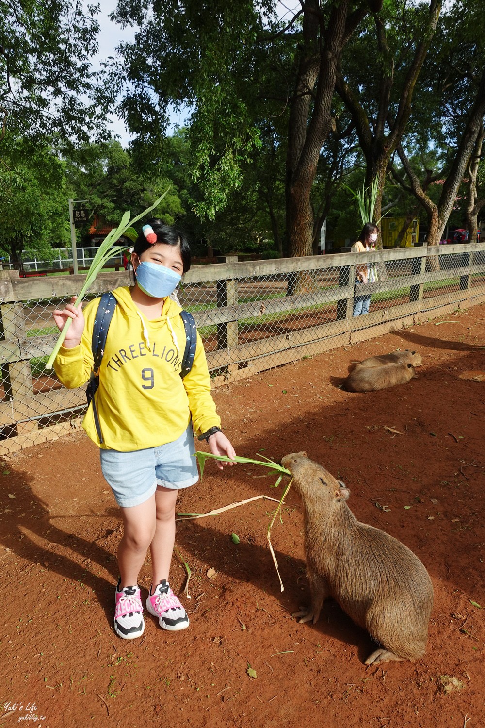 野餐好去處~來去萌萌村與水豚有約！超人氣水豚君、草泥馬~動物好可愛~還能騎車逛園區~ - yuki.tw